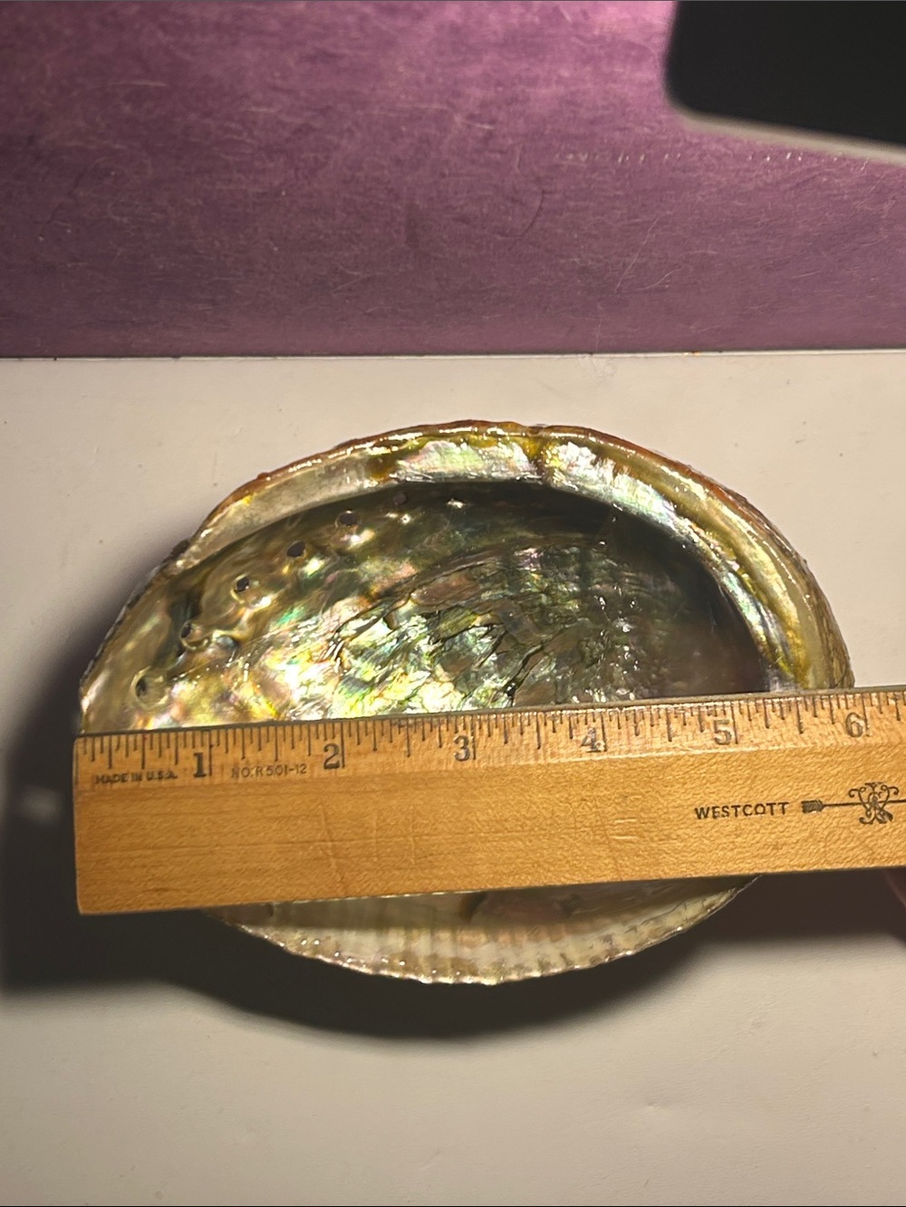 Abalone shell for smudging or as a beautiful coffee table accent! - Picture 5 of 5